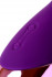 Фиолетовый стимулятор эрогенных зон Eromantica BUNNY - 21,5 см.